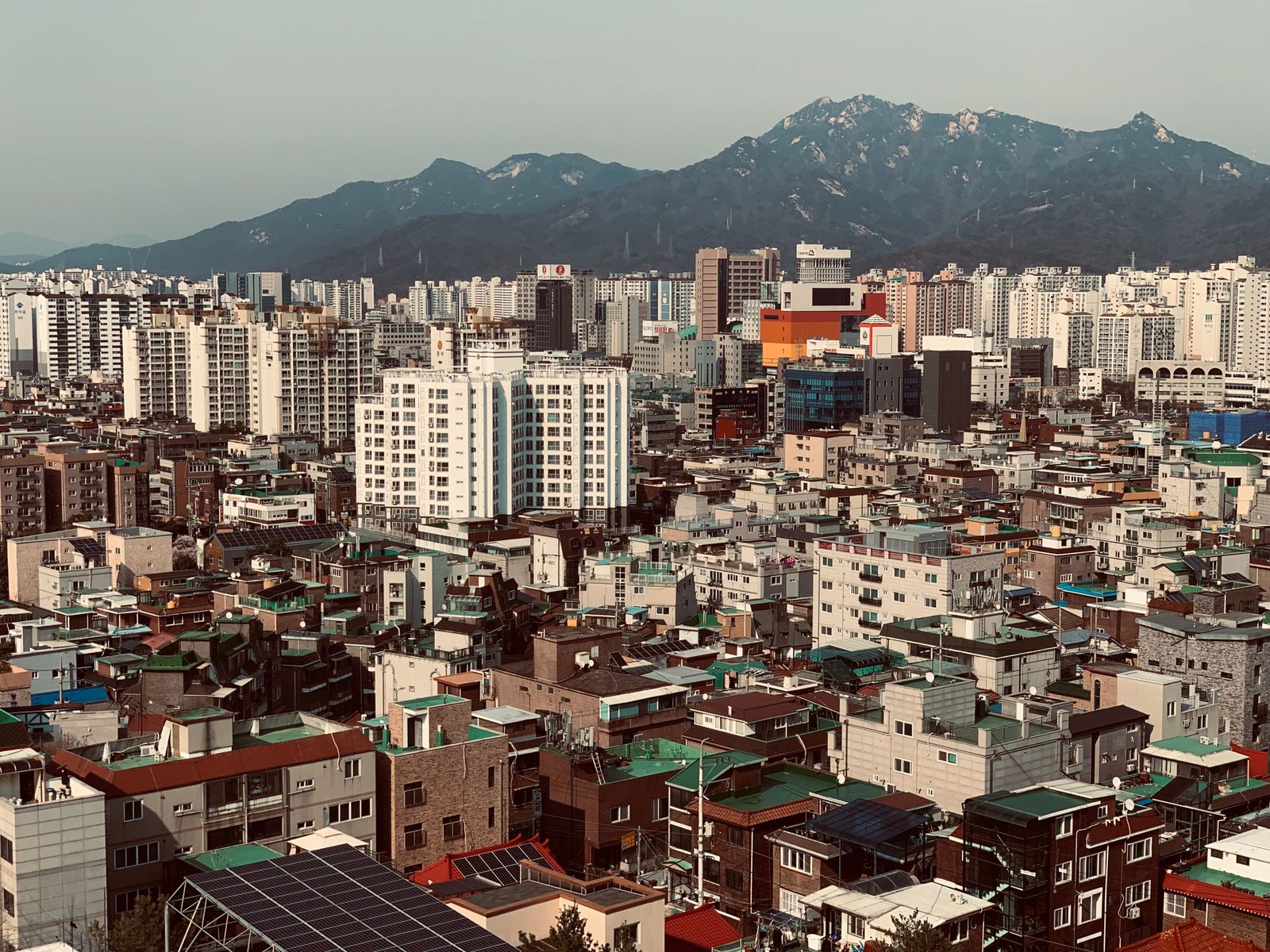 강남 사이트 안내 이미지 1